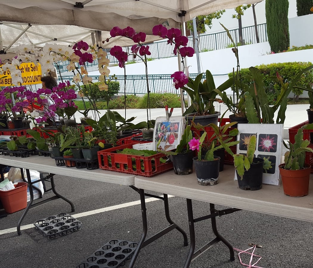 Alhambra Farmers Market 3