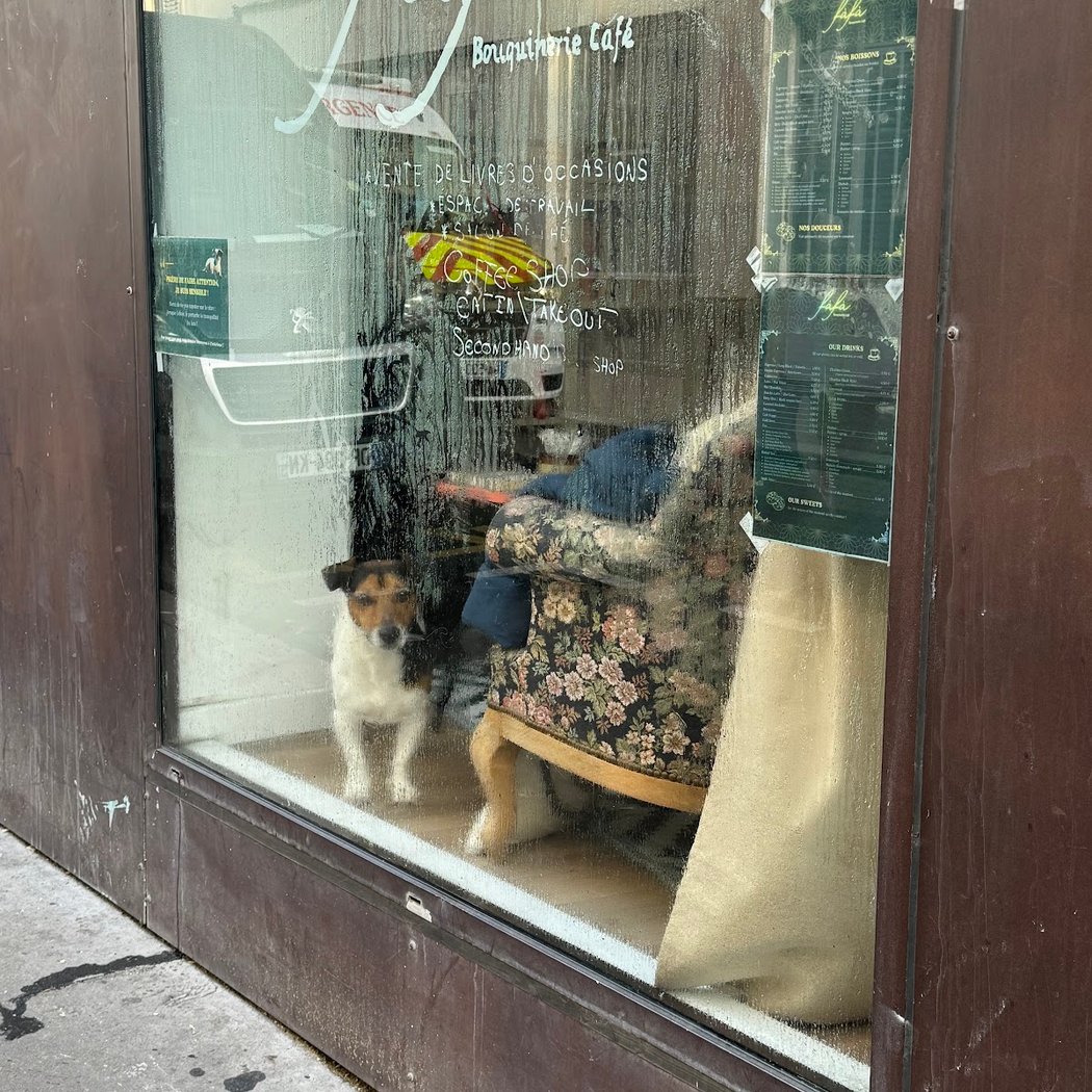 FAFA⎜Bouquinerie Café 2