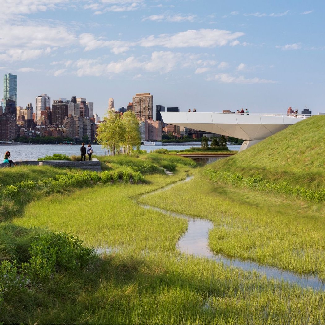 Cleanup of Restored Saltwater Marshes 1