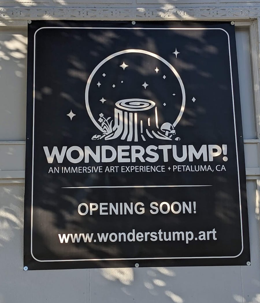 WonderStump 3