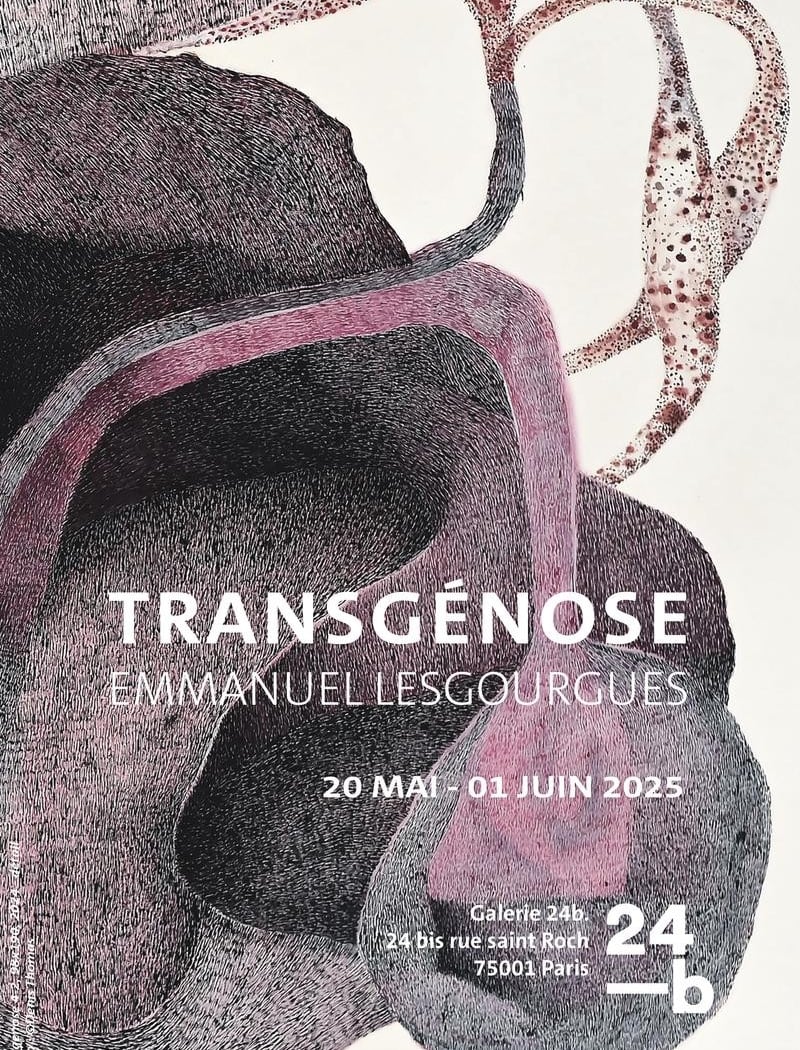 Transgénose : Emmanuel Lesgourgues 2