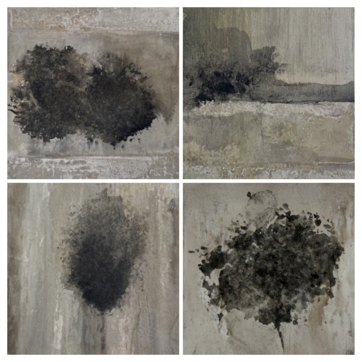 La galerie Peinture Fraîche expose 2