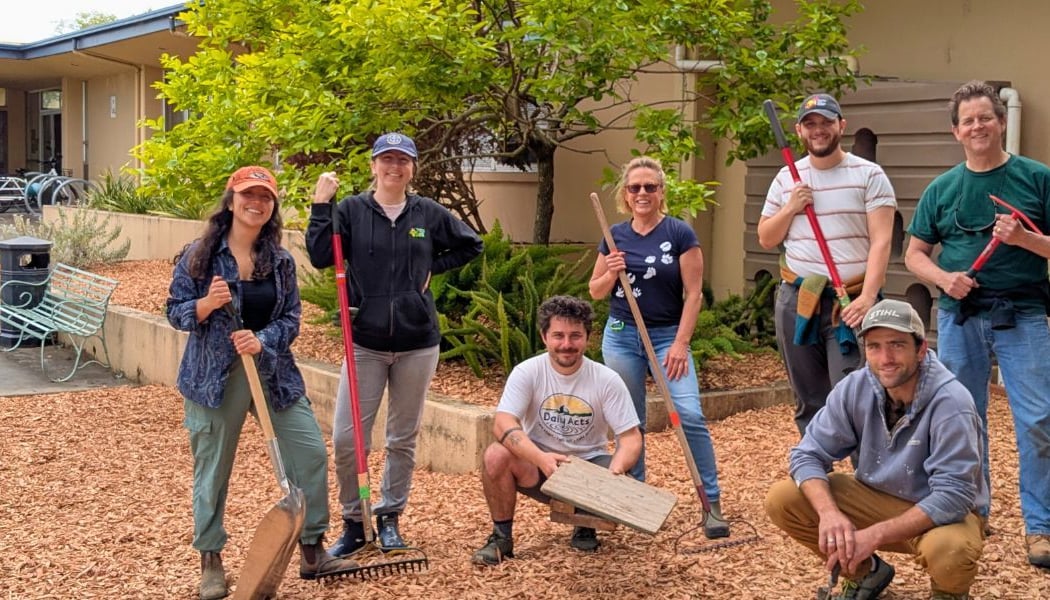 Sheet Mulching at City Hall: Phase II 1