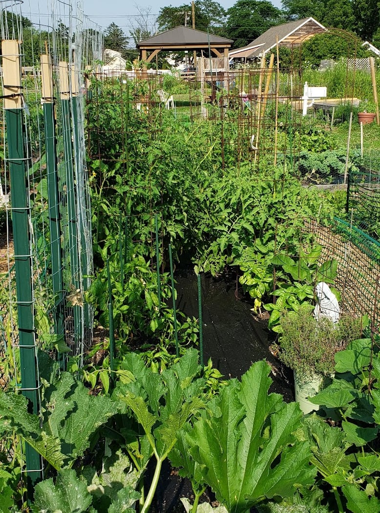 East Meadow Farm 2