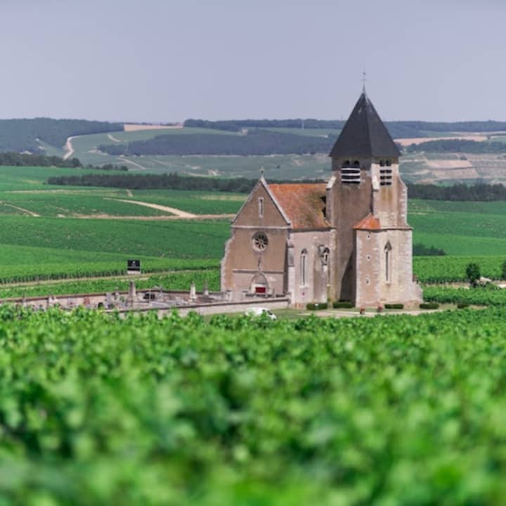 Excursion d'une journée en Bourgogne 3