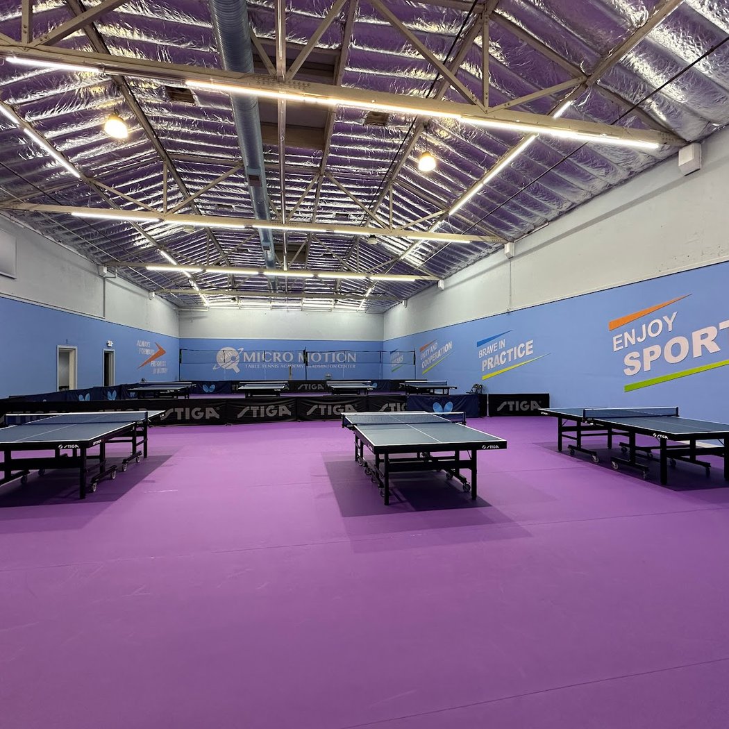 Micro Motion Table Tennis Academy (Alameda) 2