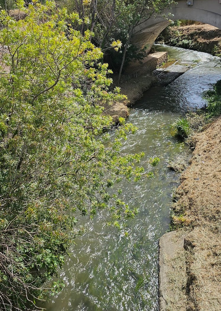 Pont Flavien 3