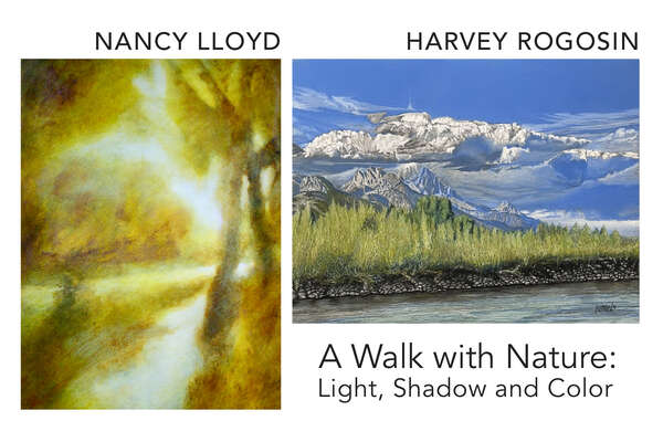 A Walk with Nature: Light, Shadow and Color 1