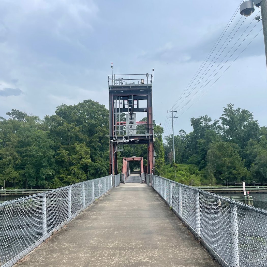 Tammany Trace Bike Trail 2
