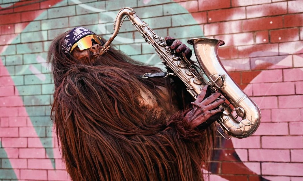 Saxsquatch