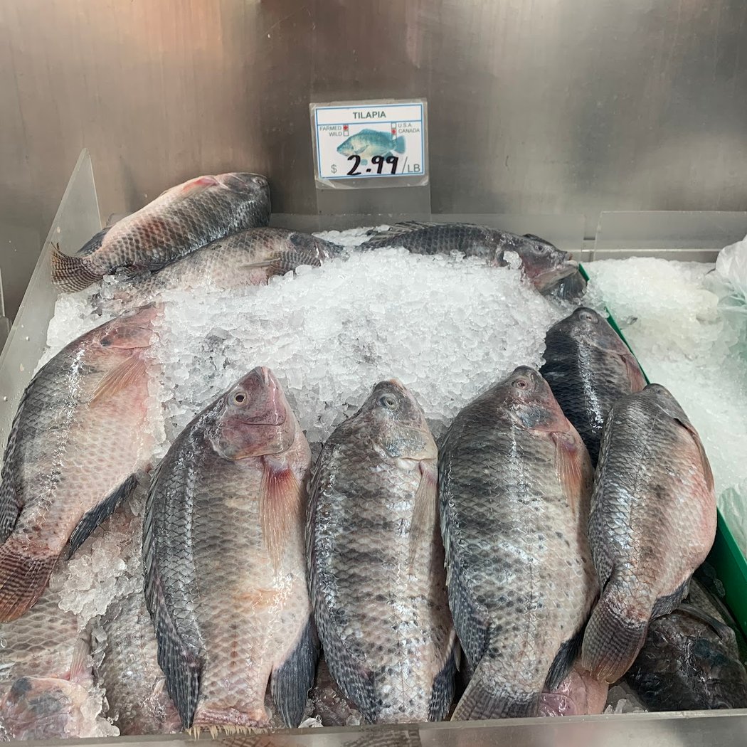 Rho's Fish Market 1