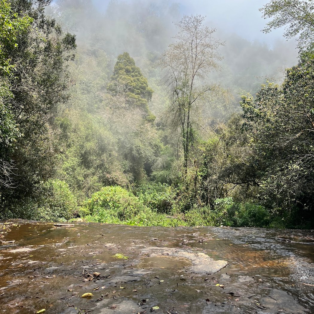 Vattakanal Waterfalls 4