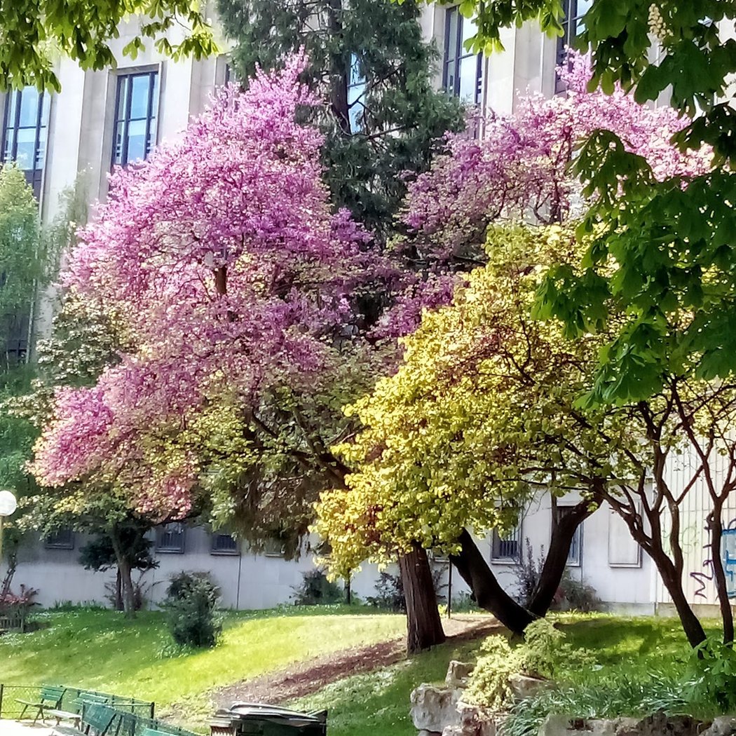Récollets Kindergarten 1