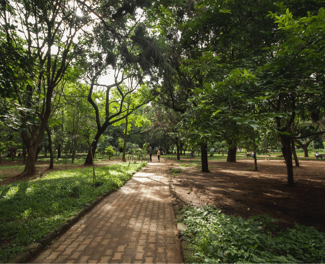 Cubbon Park 3