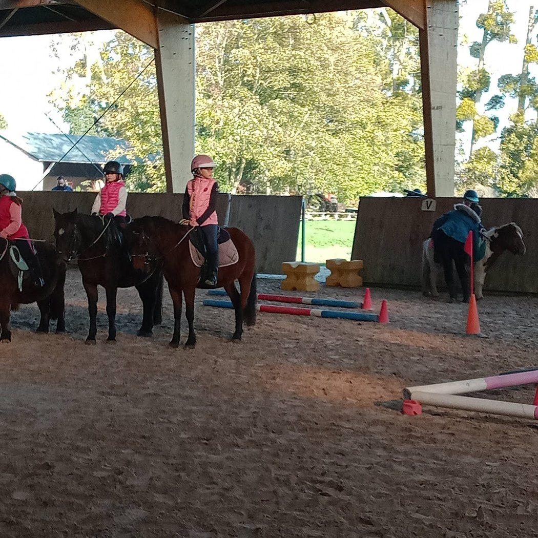 Centre équestre et poney club de Pouzay 2