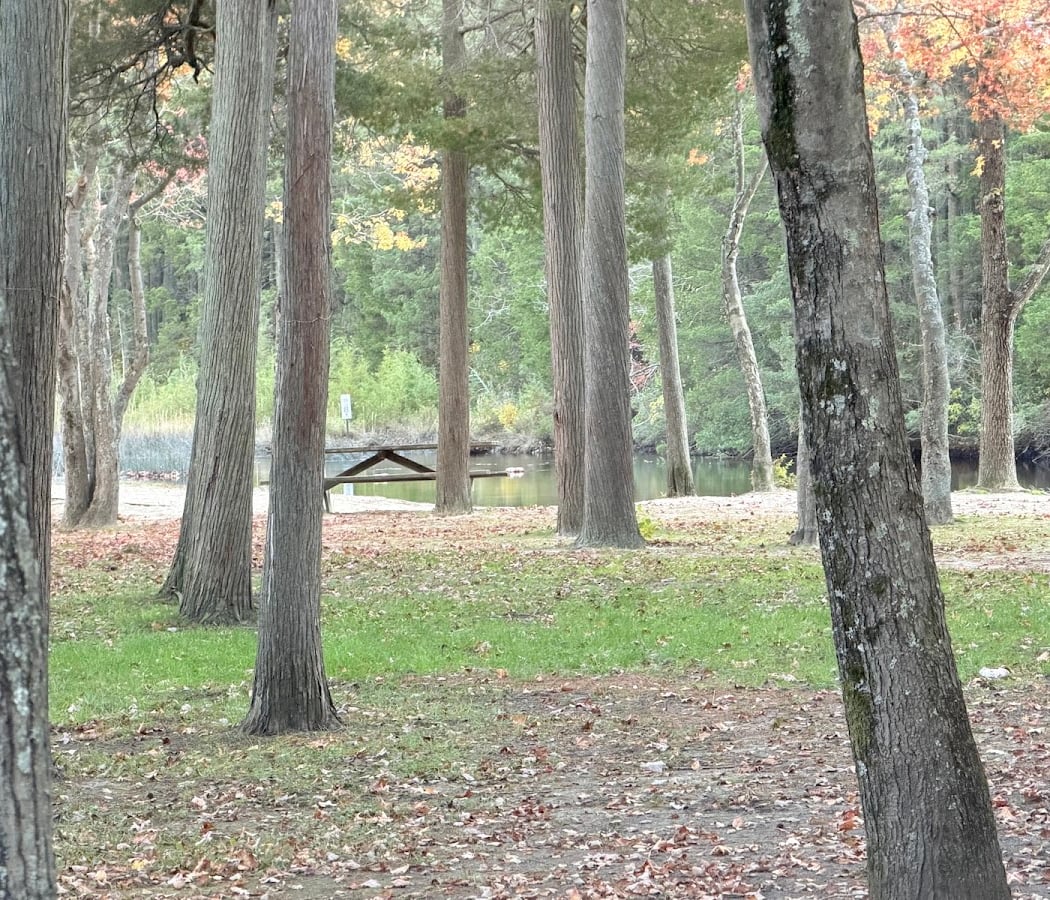 Barnegat Branch Trail 2