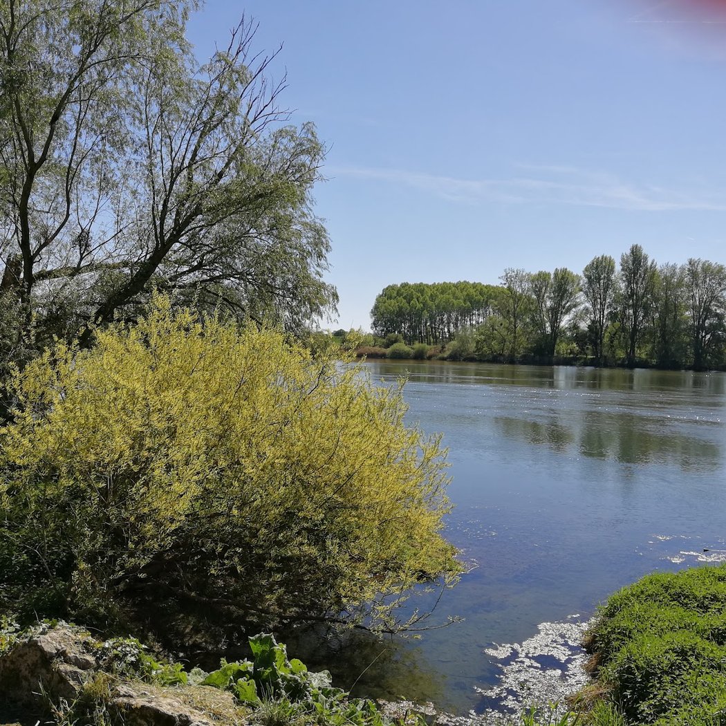 Parc de la Solitude 1