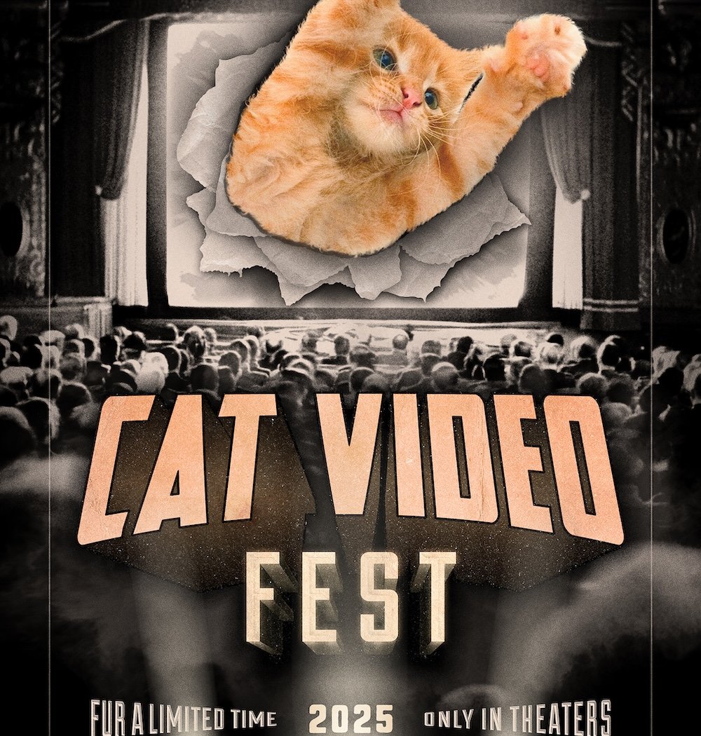CatVideoFest 1