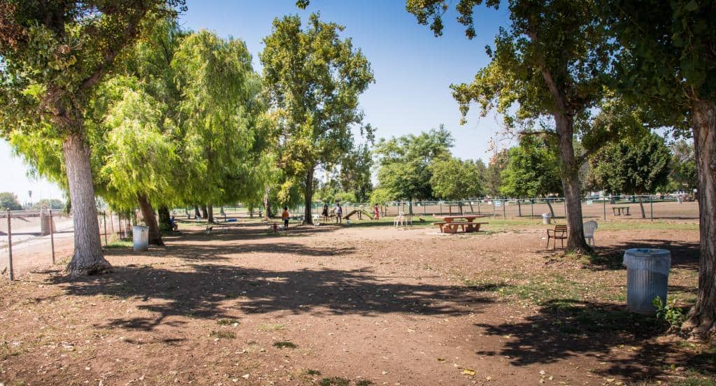 Sepulveda Basin Off-Leash Dog Park 2