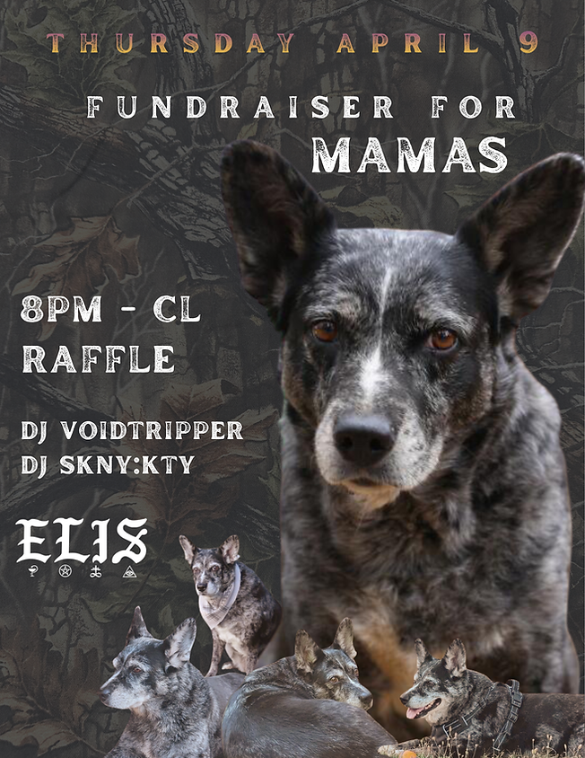 Fundraiser for Mamas 1