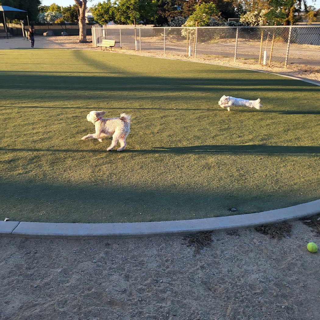 Dog Park | Los Gatos Creek 3