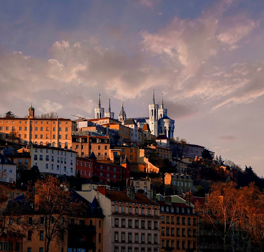 Lyon 3
