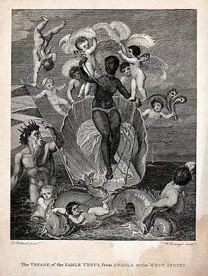 Le Voyage de la Vénus Noire