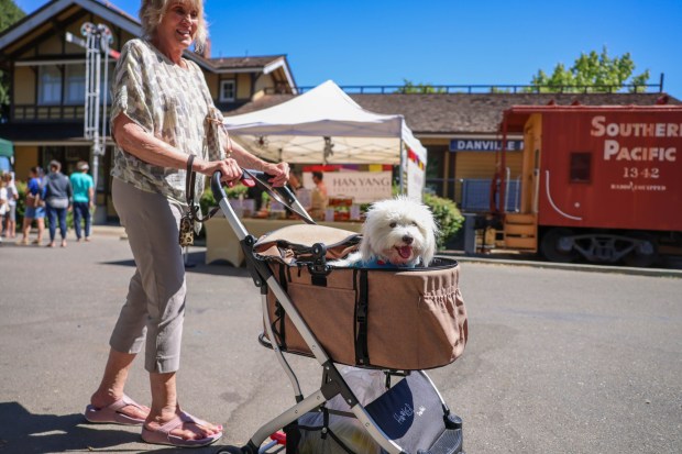 Danville Farmers' Market 5