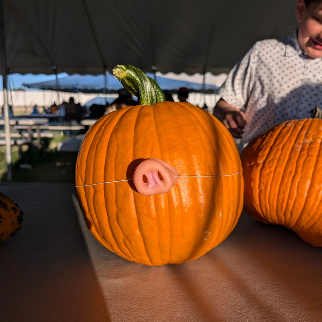 Marana Pumpkin Patch 3