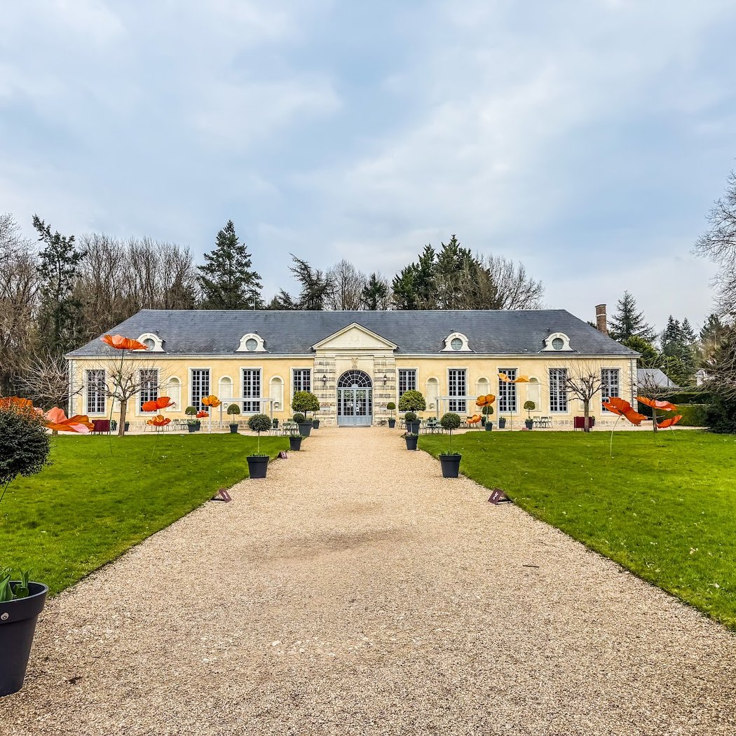 Le jardin de tulipes 3