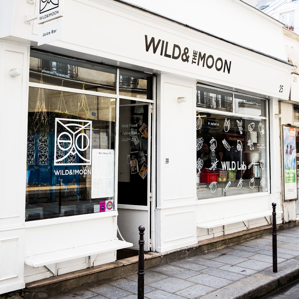 Wild & The Moon 3
