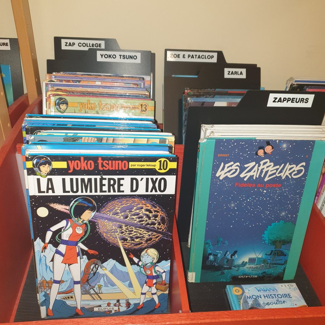 Library De Sartrouville 1