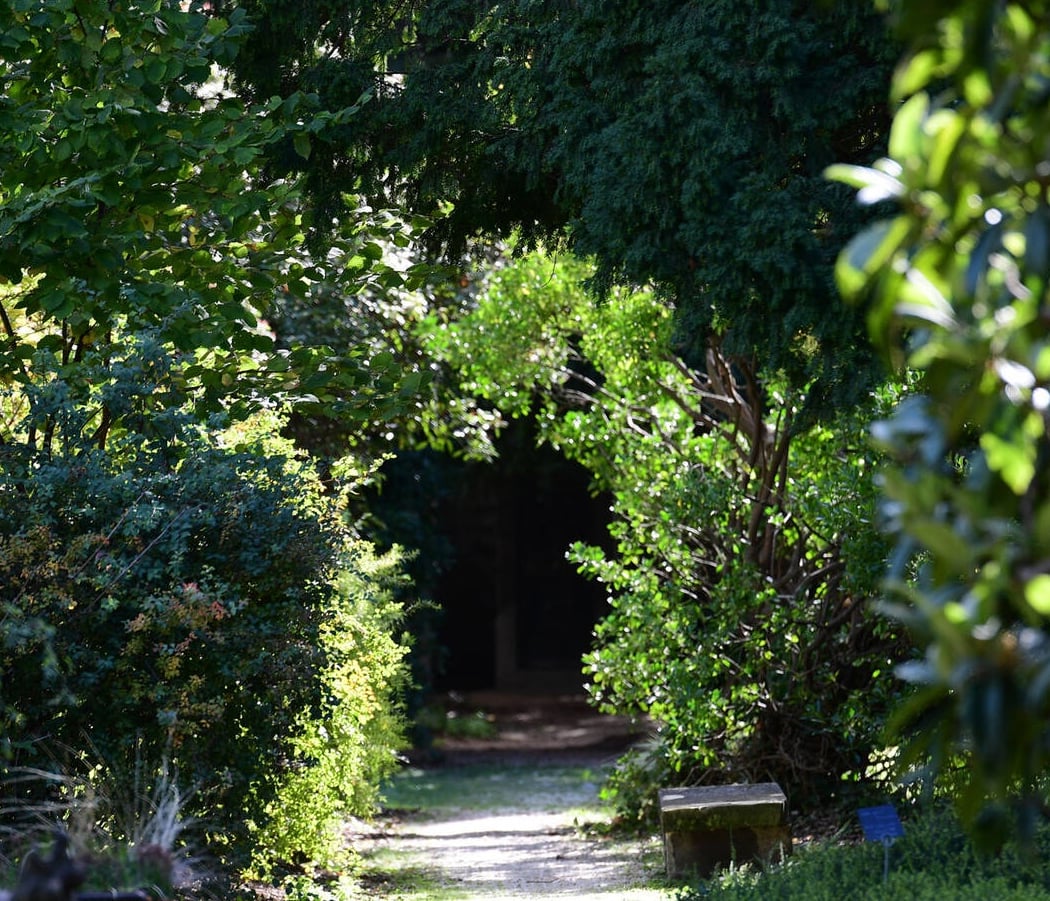 Parc du Vieux cimetière 2