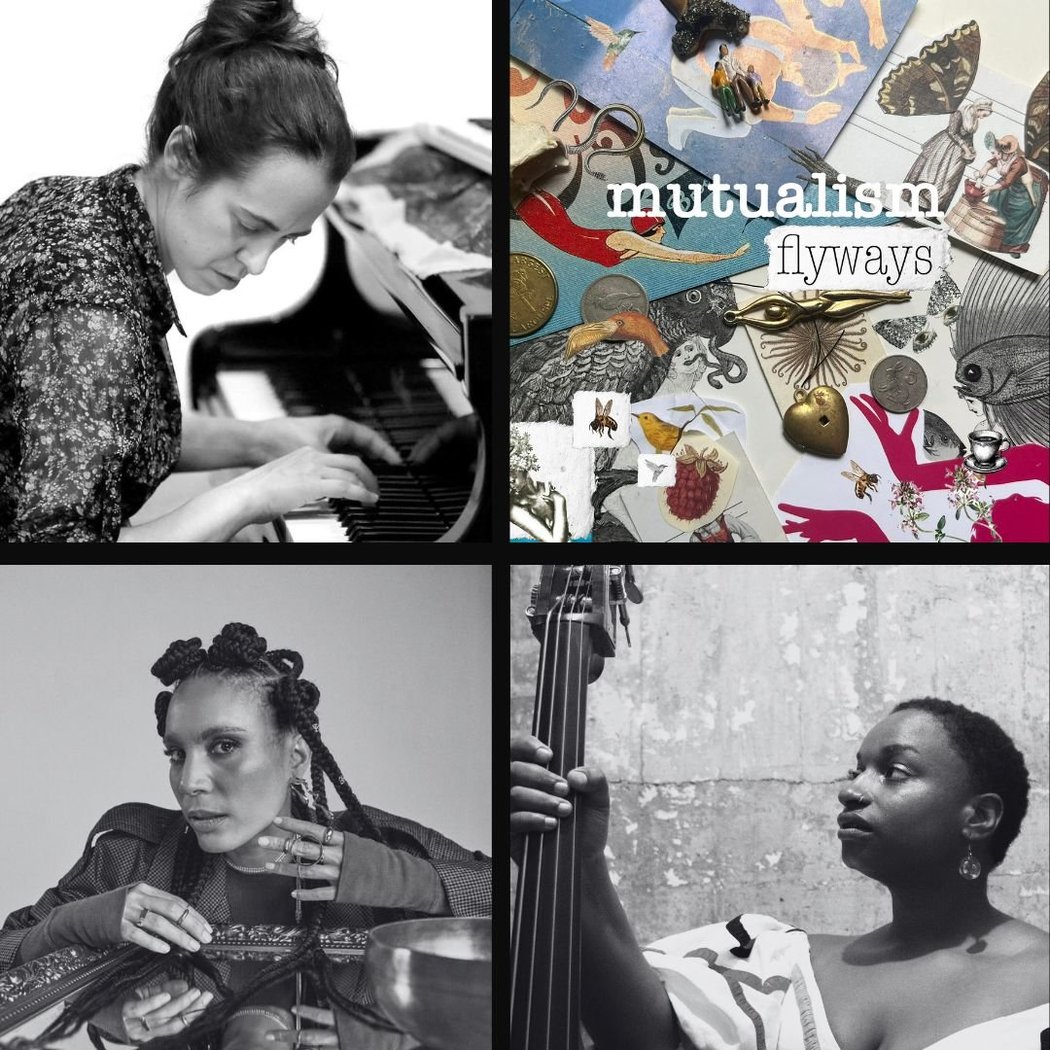 Flyways A Record Release Celebration: Mutualism 1