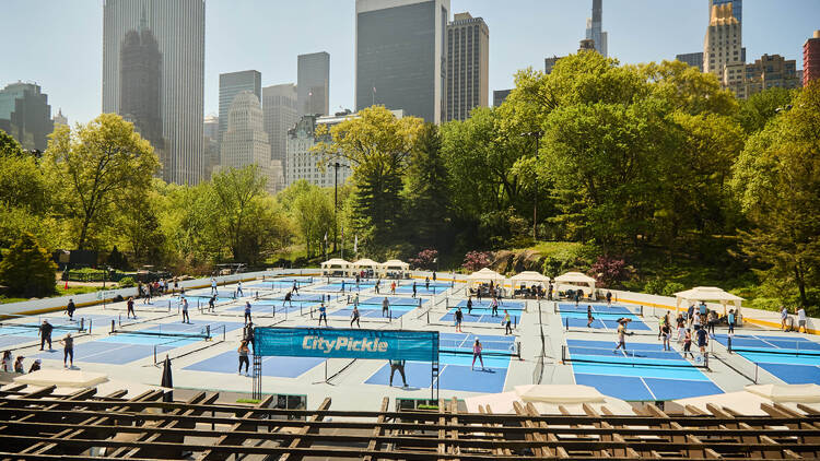 CityPickle Pickleball 1