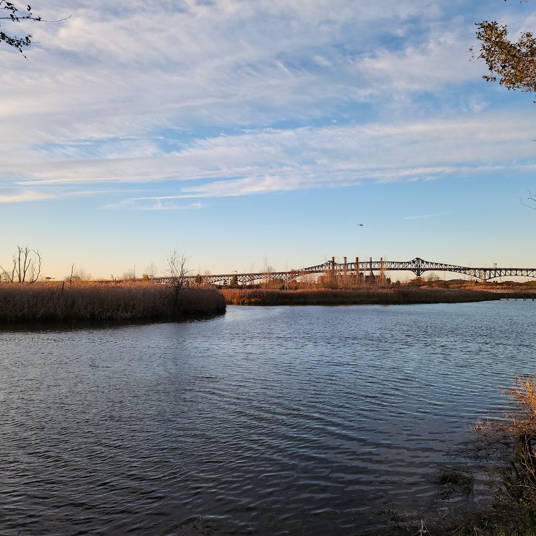 Lincoln Park West Wetlands & Nature Trail 2