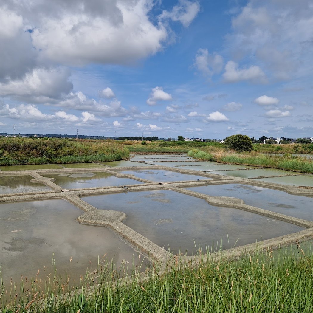 Marais salants 1