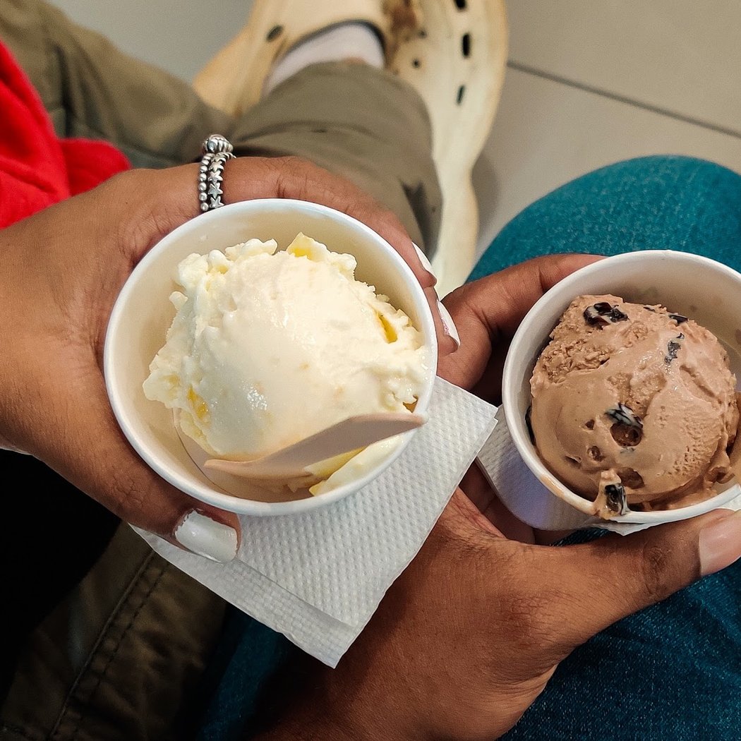 Naturals Ice Cream 3