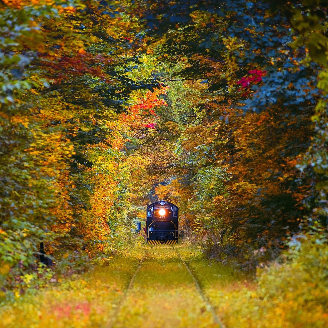 Fall Foliage Adventure Trains