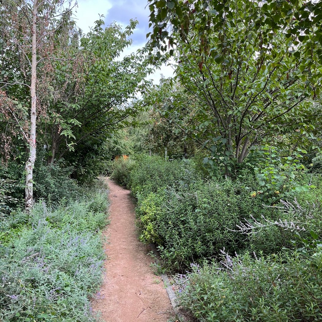 Jardin Curial 1