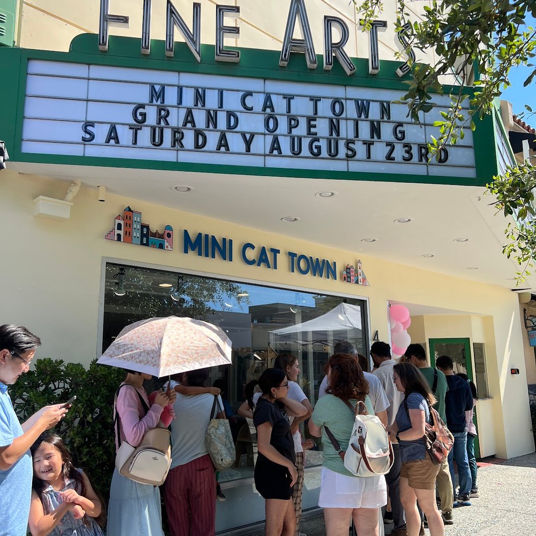 Mini Cat Town 3