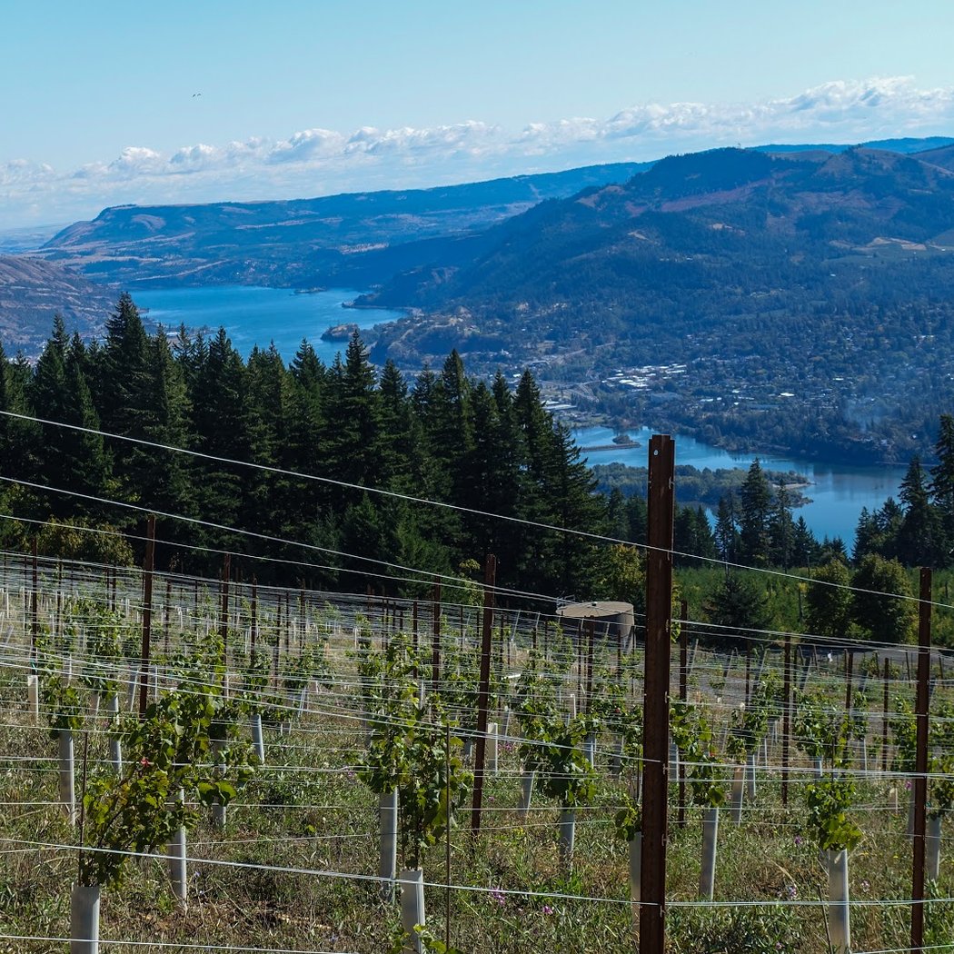 South Hill Winery 2