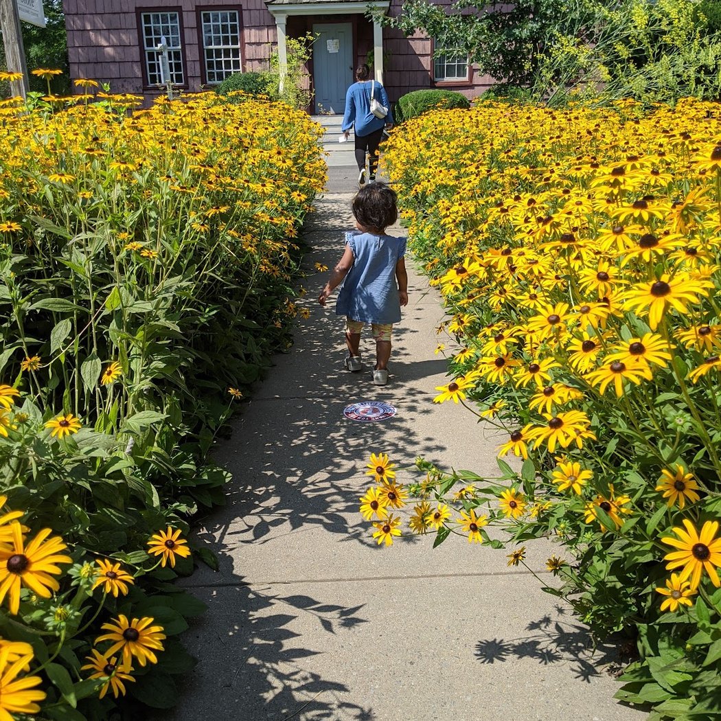 Joy on the Farm 1
