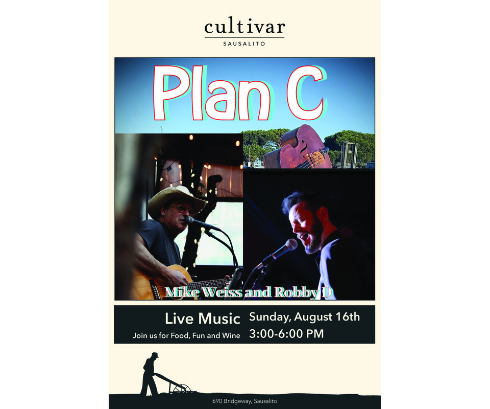 Plan C Performs Live 1