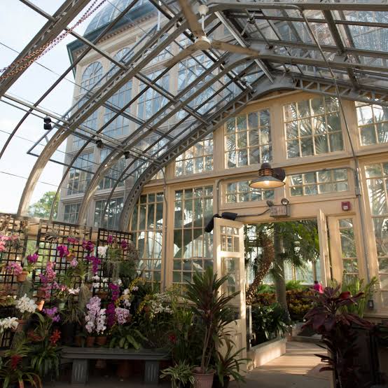 Rawlings Conservatory 2