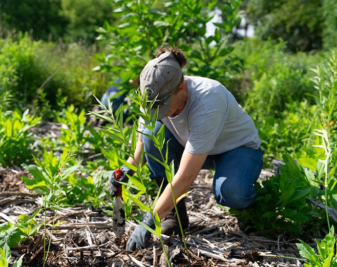 Restoration Workday 1