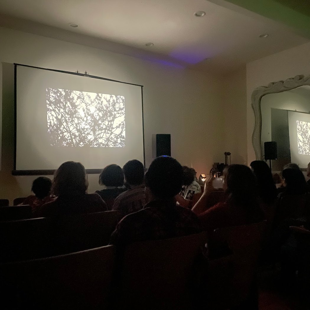 Jennifer Reeves: When It Was Blue – Blu-ray Release Celebration 4