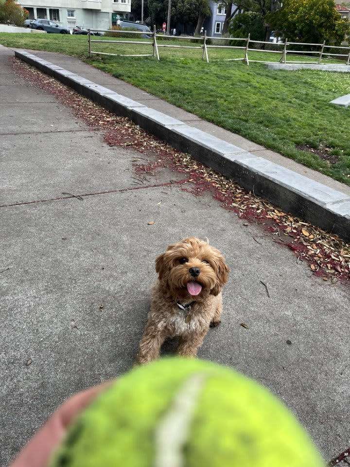 Noe Valley Park 2