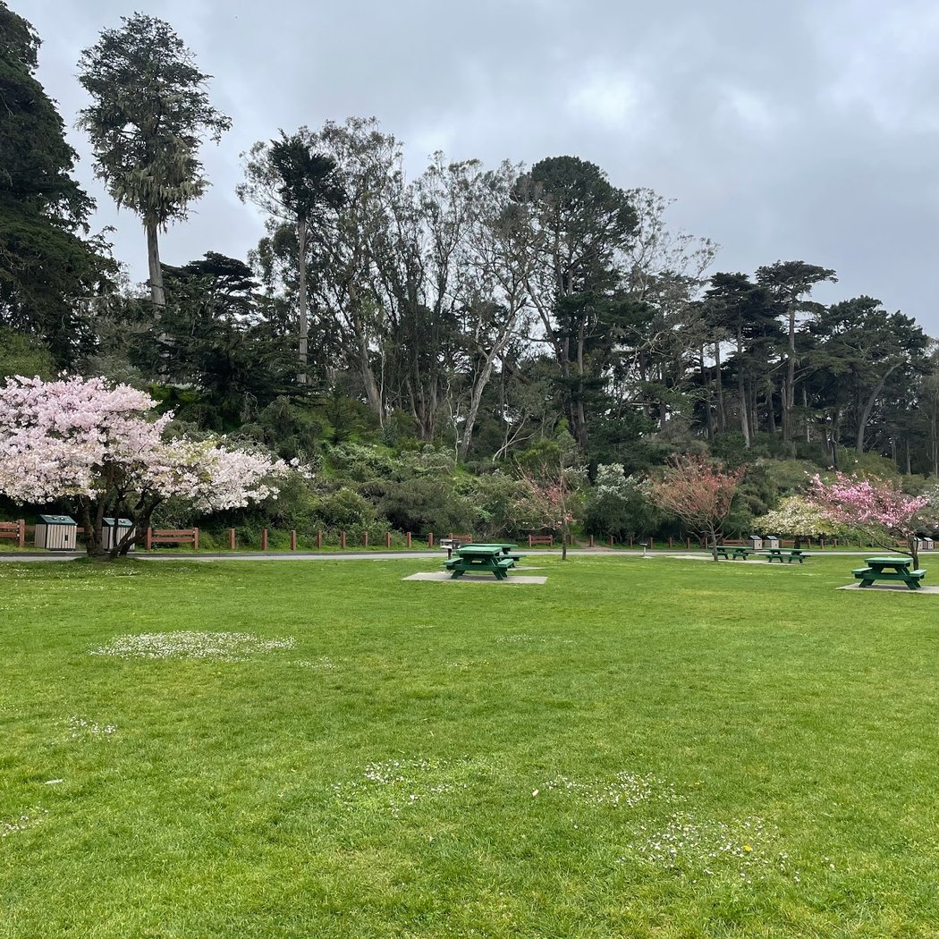 Hellman Hollow Picnic Area 2