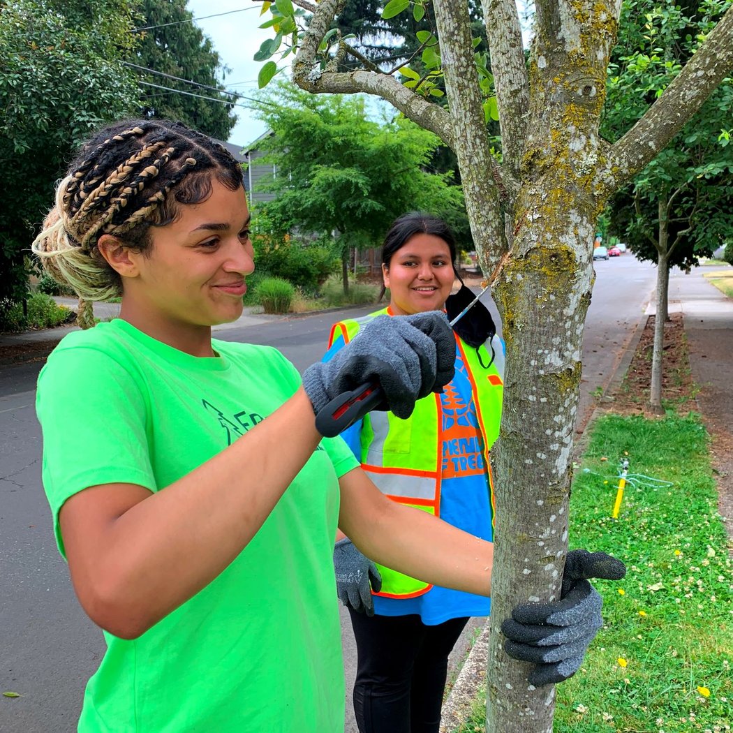 Volunteer Training: Pruning 102 2